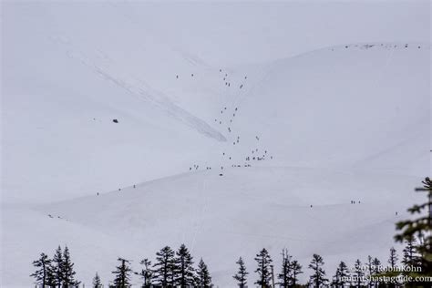 June Conditions on Mount Shasta - MT SHASTA TOUR GUIDE