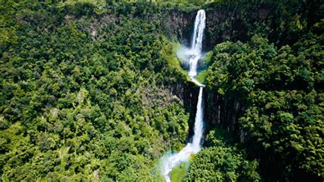 Aberdare National Park Kenya Wildlife Safari Destinations