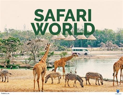 Vé Safari World Bangkok Gi﻿á Rẻ