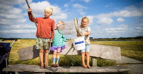 Ontdek Waterbeestjes Met De Zoekkaart Van Oerrr Natuurmonumenten