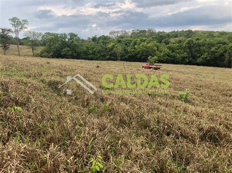 S Tios Fazendas E Ch Caras Venda Em Araguari Mg Buskaza