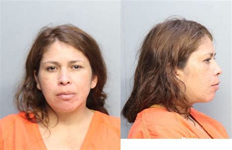 Gomezcarcamo Iris Miami Dade County Mugshots Zone