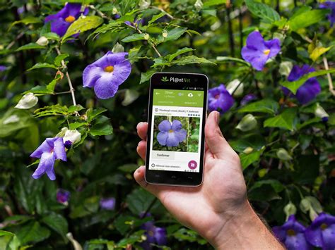 Nature Quatre Applications Ludiques Pour D Couvrir La Faune Et La