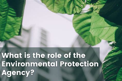 What Is The Role Of The Environmental Protection Agency Earth Reminder