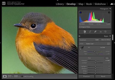 Lightroom Denoise Ai Is It Really Good Full Tutorial Review