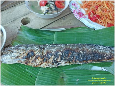 La pêche en Isaan vidéo Thaïlande Le blog de khon kaen et de l Issan