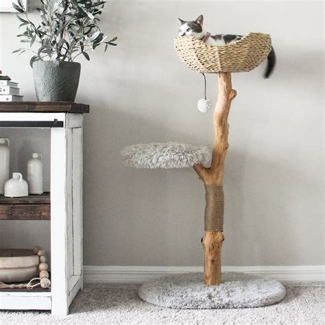 mau cat tree reviews - Awesomest Forum Picture Archive