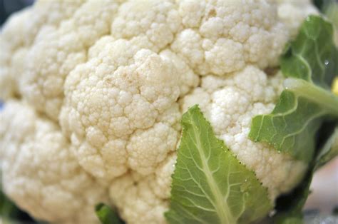 Cauliflower Soup - Kristin Schell