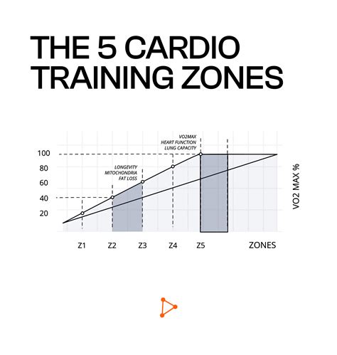 Zone 2 And 5 Aerobic Training For Longevity, Fitness & Health | Vitalscend