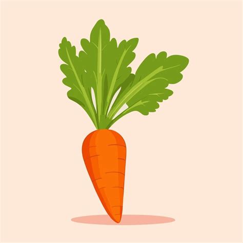 Premium Vector Cute Carrot Cartoon Vector Illustration