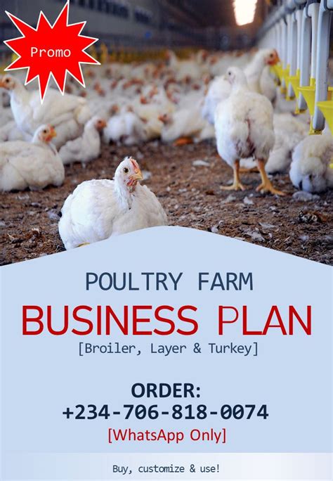 Commercial Poultry Farm Project Proposal Pdf At Patricia Smith Blog