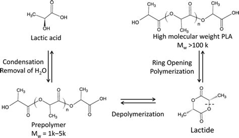 8 Synthesis of polylactic acid (Ding et al. 2018) | Download Scientific ...