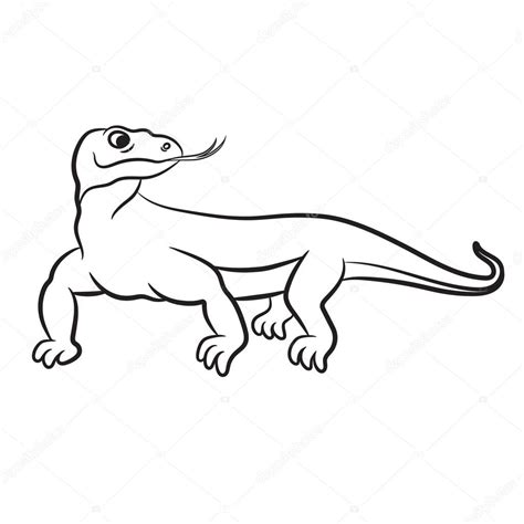 Komodo Dragon Diagram