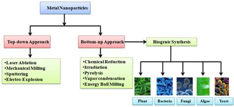 Nanomaterials Free Full Text Biogenic Silver Nanoparticles What We