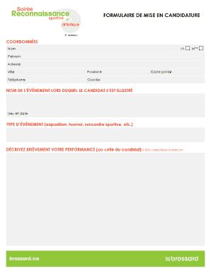 Fillable Online FORMULAIRE DE MISE EN CANDIDATURE 3e Dition COORDONNES