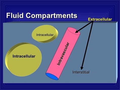 Fluid And Electrolytes1