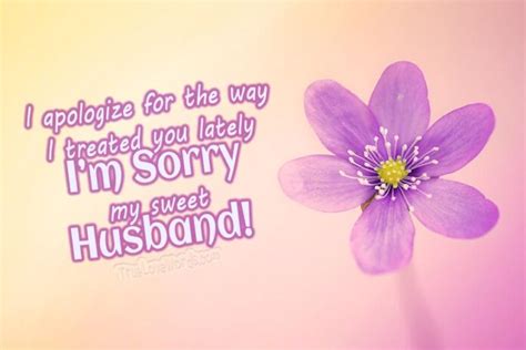 45 Sorry Messages And Apologies For Husband True Love Words