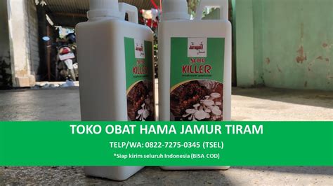 TERBAIK TELP WA 0822 7275 0345 Tsel Penjual Obat Ham Flickr