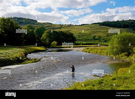 Angler fishing in the River Wharfe near Grassington, Wharfedale Stock ...