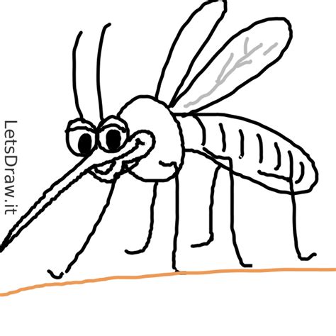 How To Draw Mosquito R Iohdau Png Letsdrawit