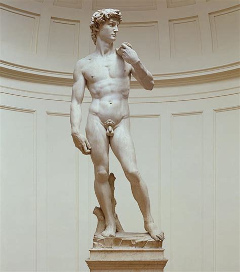 David Michelangelo