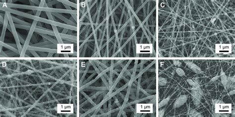 Sem Images Of Electrospun Randomly Oriented Bto Plla Composite Fibrous