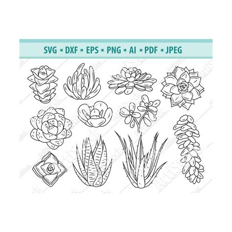 Cactus Svg Bundle Succulents Svg Plants Clipart Cactus Fi Inspire