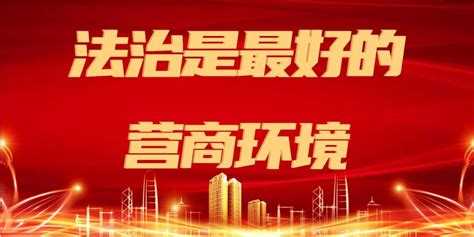 优化法治化营商环境丨张莉院长深入企业走访调研澎湃号·政务澎湃新闻 The Paper