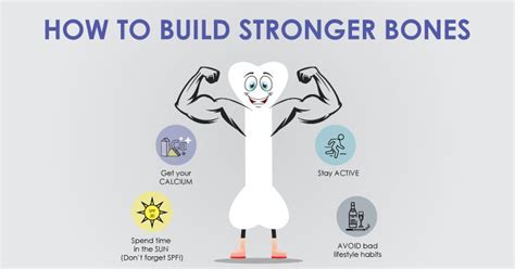 How To Build Stronger Bones