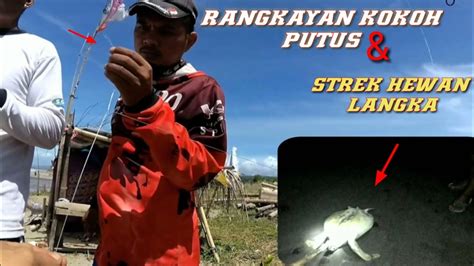 Banyak Strek Cuma Satu Yang Bikin Heranmancing Pasiran Dipantai