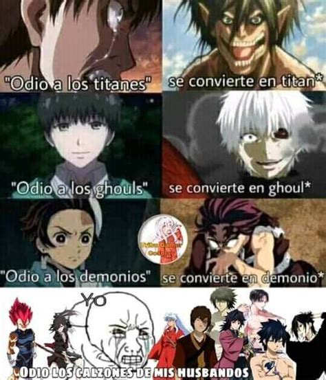 Pin de Tripulacion De Luffy en Memes Memes de anime Memes estúpidos