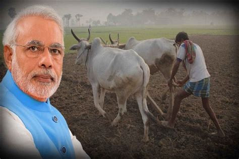 Pm Kisan Samman Nidhi Will Be Recovered From Ineligible Farmers Pm