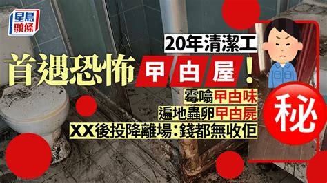 清潔工入職20年首遇恐怖曱甴屋！狂噴殺蟲水清走曱甴屍體 翌日開門投降離場：錢都無收佢