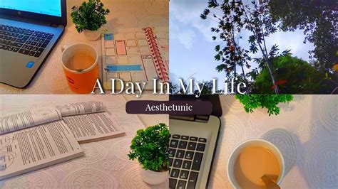 A Day In My Life Productive Day In My Life Study Vlog Study With Me