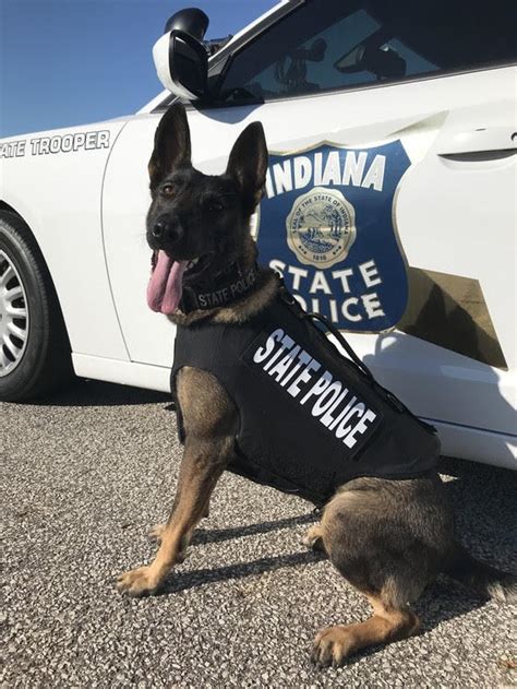 Indiana State Police K9 Receives Donated Body Armor Wvpe