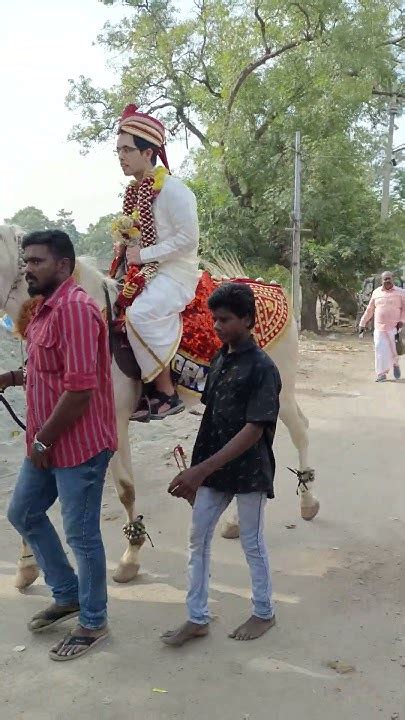 Prn 🎊marriage Event 🎉 Function Dancing Horse 🥳karaikudi 🥳tamilnadu Best