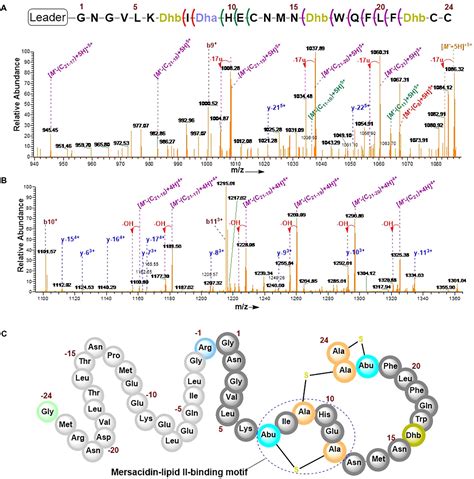 Frontiers Heterologous Biosynthesis Modifications And Structural