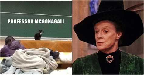 Prof Mcgonagall Memes