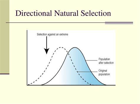 The Theory Of Evolution Ppt Download