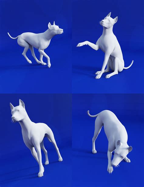 Best Dog Poses For Daz Dog 8 Daz 3d