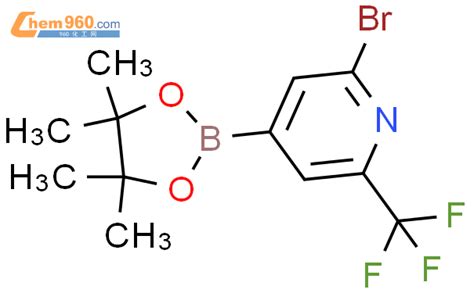 1256360 49 2 2 溴 6 三氟甲基吡啶 4 硼酸频那醇酯化学式结构式分子式msds 960化工网