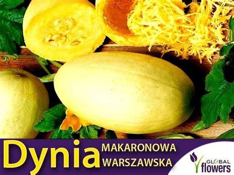 Dynia Makaronowa Warszawska Nasiona Niska Cena Plumeria Pl