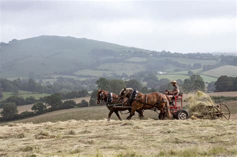 Over 100 Acres Of Wildflower Rich Meadows Are Being Restored Across