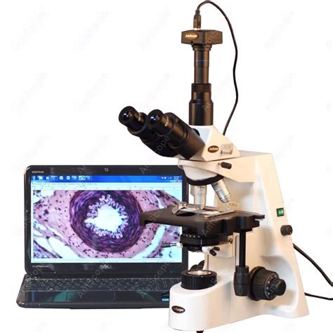 Research Compound Microscope AmScope Supplies 40X 2500X Infinity Plan ...