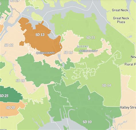 Queens Group Says Redistricting Hearing Excluded Muslim Voices — Queens