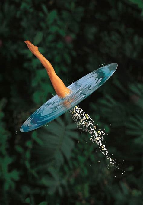 rick wright broken china album cover   san francisco art