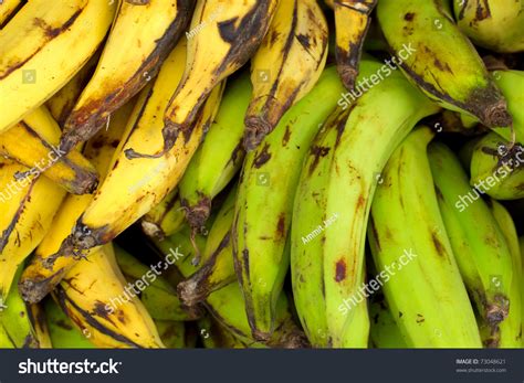 Different Types Bananas Displayed Market Stock Photo 73048621