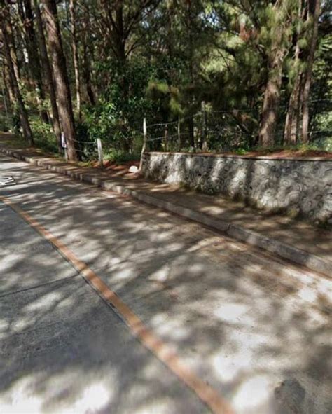 Balacbac 1000 Sqms Lot Along Main Rd