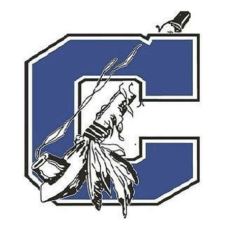 The 10 most unique Michigan high school mascots