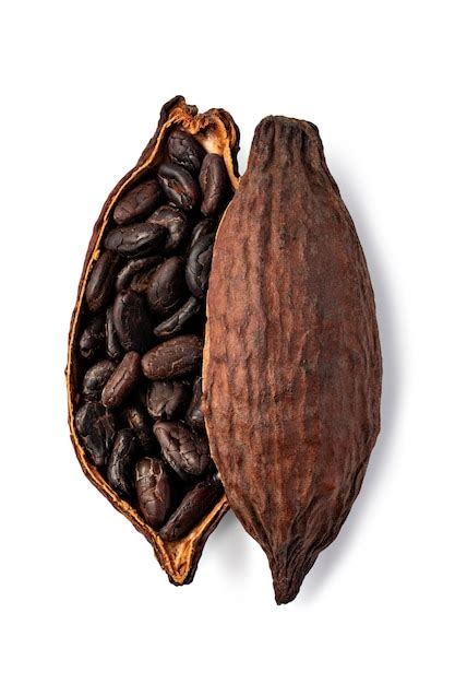 Cacao Pod Foto Premium